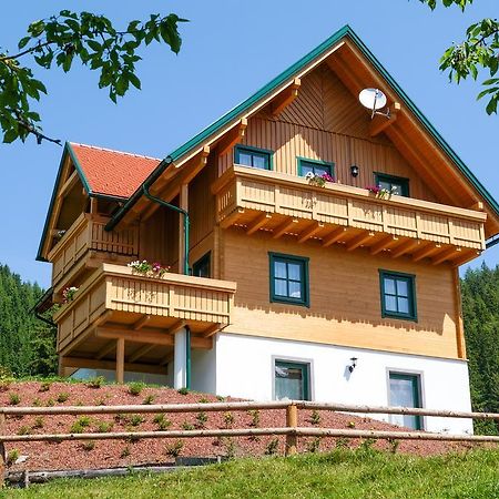 Ferienhaus Hochfelner Sankt Marein bei Knittelfeld Kültér fotó