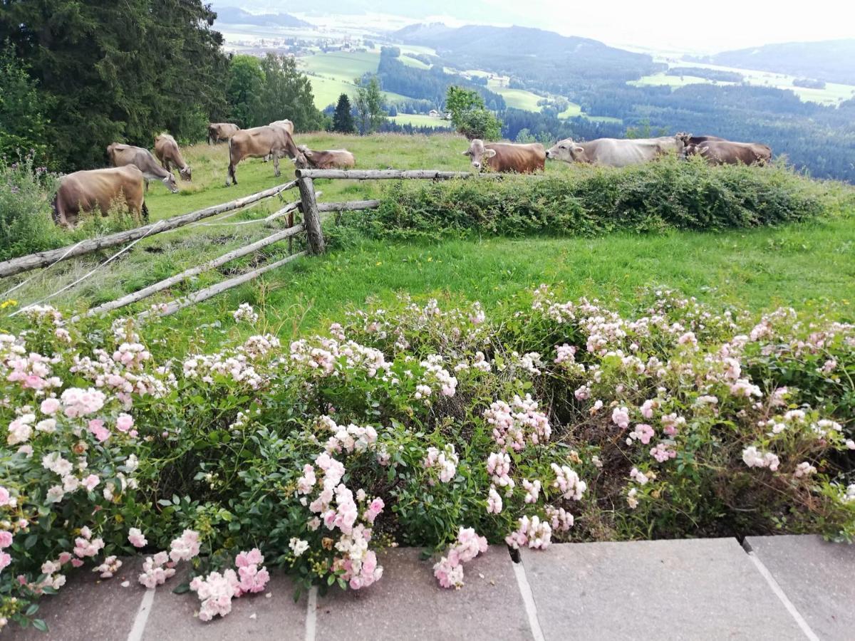 Ferienhaus Hochfelner Sankt Marein bei Knittelfeld Kültér fotó