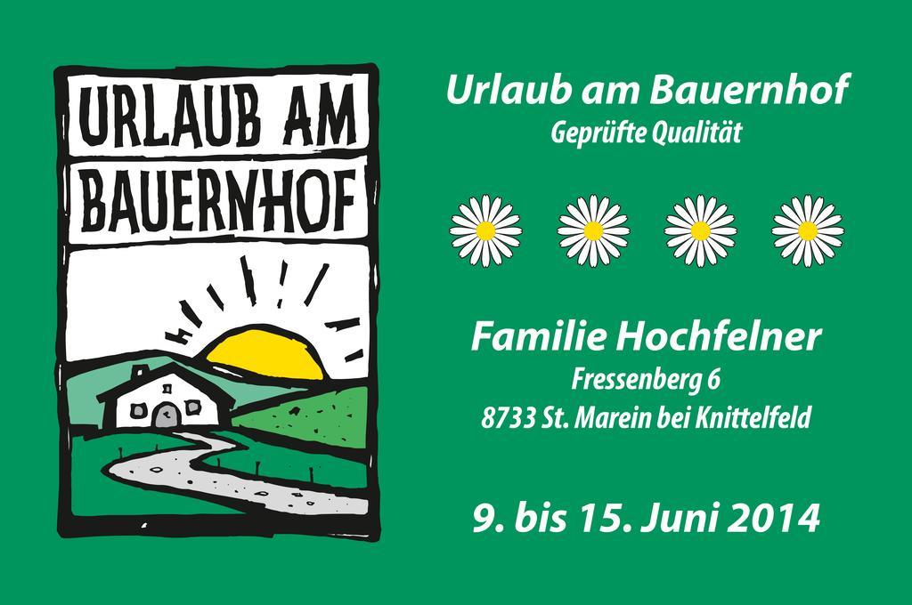 Ferienhaus Hochfelner Sankt Marein bei Knittelfeld Kültér fotó